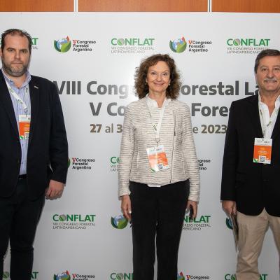 Dia3 Conflat Img 1059 Cr Srgb